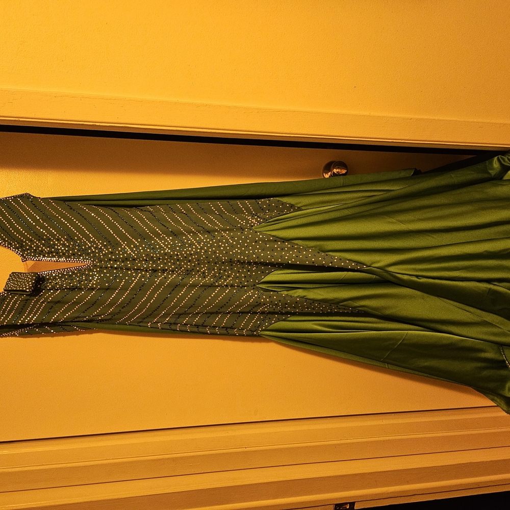 Green Sleeveless Plunge Neck Ballroom Dress - Picture 1 of 4